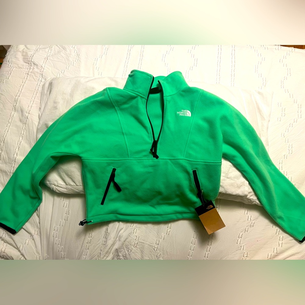 The North Face TKA Attitude 1/4 Zip Fleece (Chlorophyll Green) Small